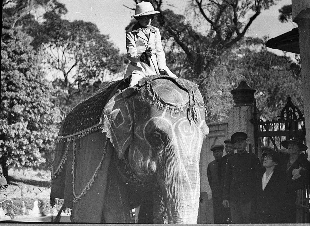 At zoo Saunders Malt picnic (1936)