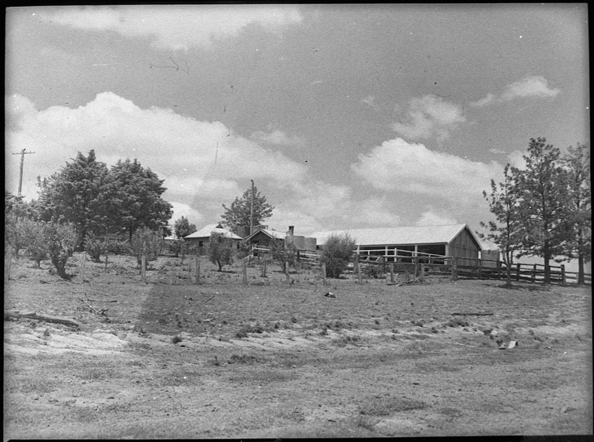 Barrington Lights ie Heights (1952)