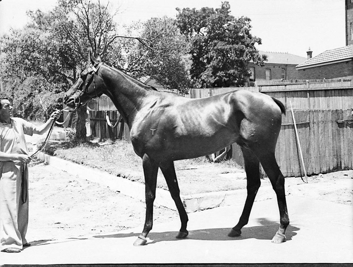 Beau Livre owner Mr Harmer taken for Sporting Globe (1940)