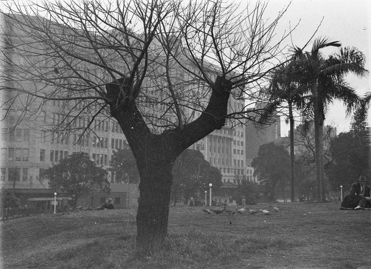Bleak winter scene in Hyde park (1930s)