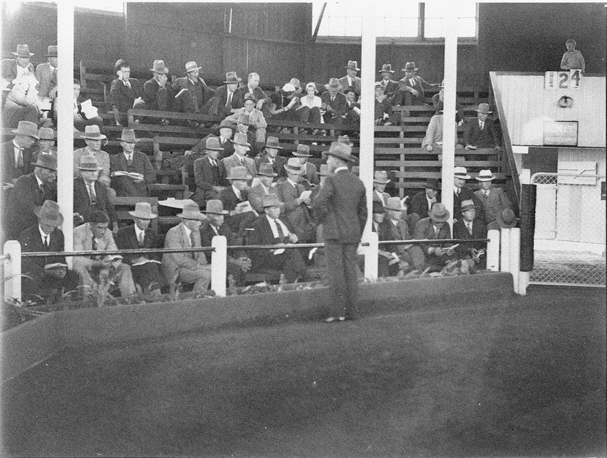 Briefing before the horse auctions (1925–57)