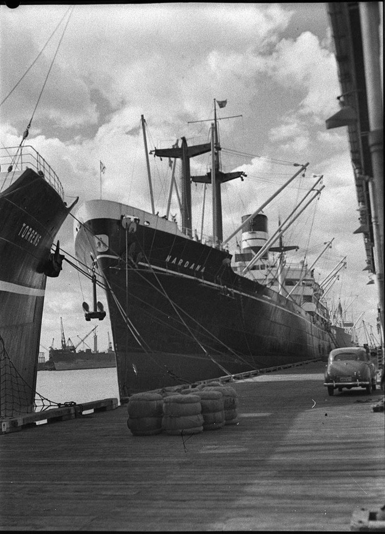 Cargo ships Nardana and Torrens (1957)