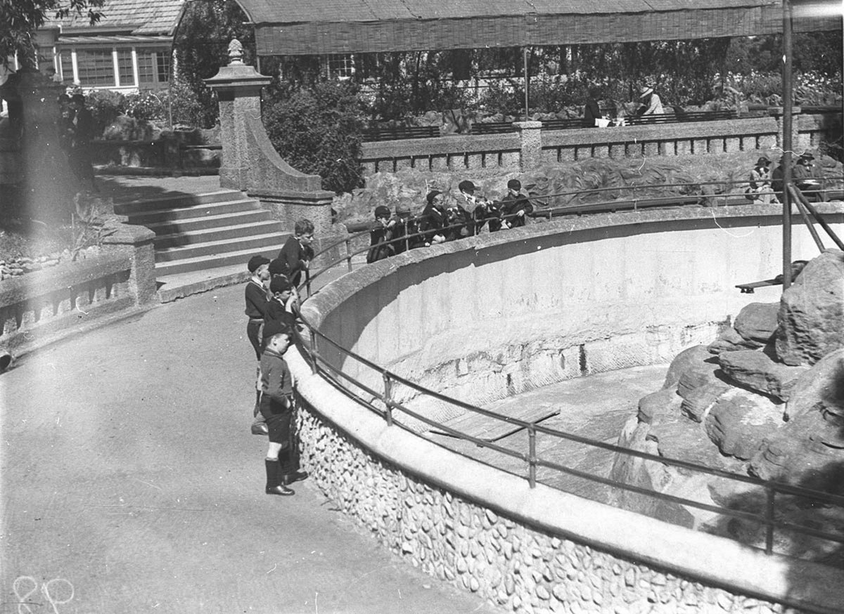 Children looking in the lion pit at Taronga Park Zoo, Mosman (1930s)