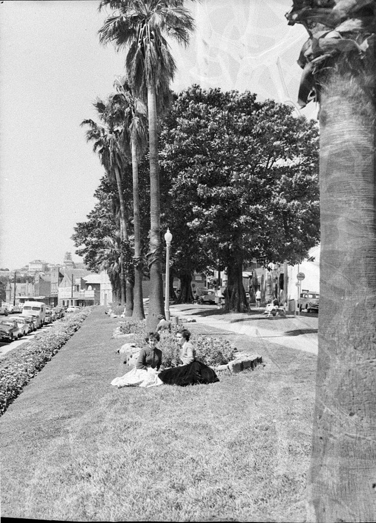 Civic Park King Street Park, Sydney city centre (1957)