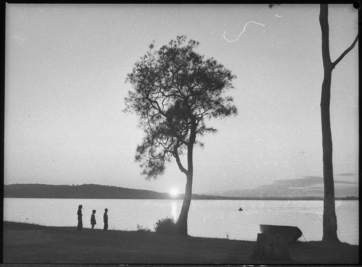 Coal Point studies (1954)
