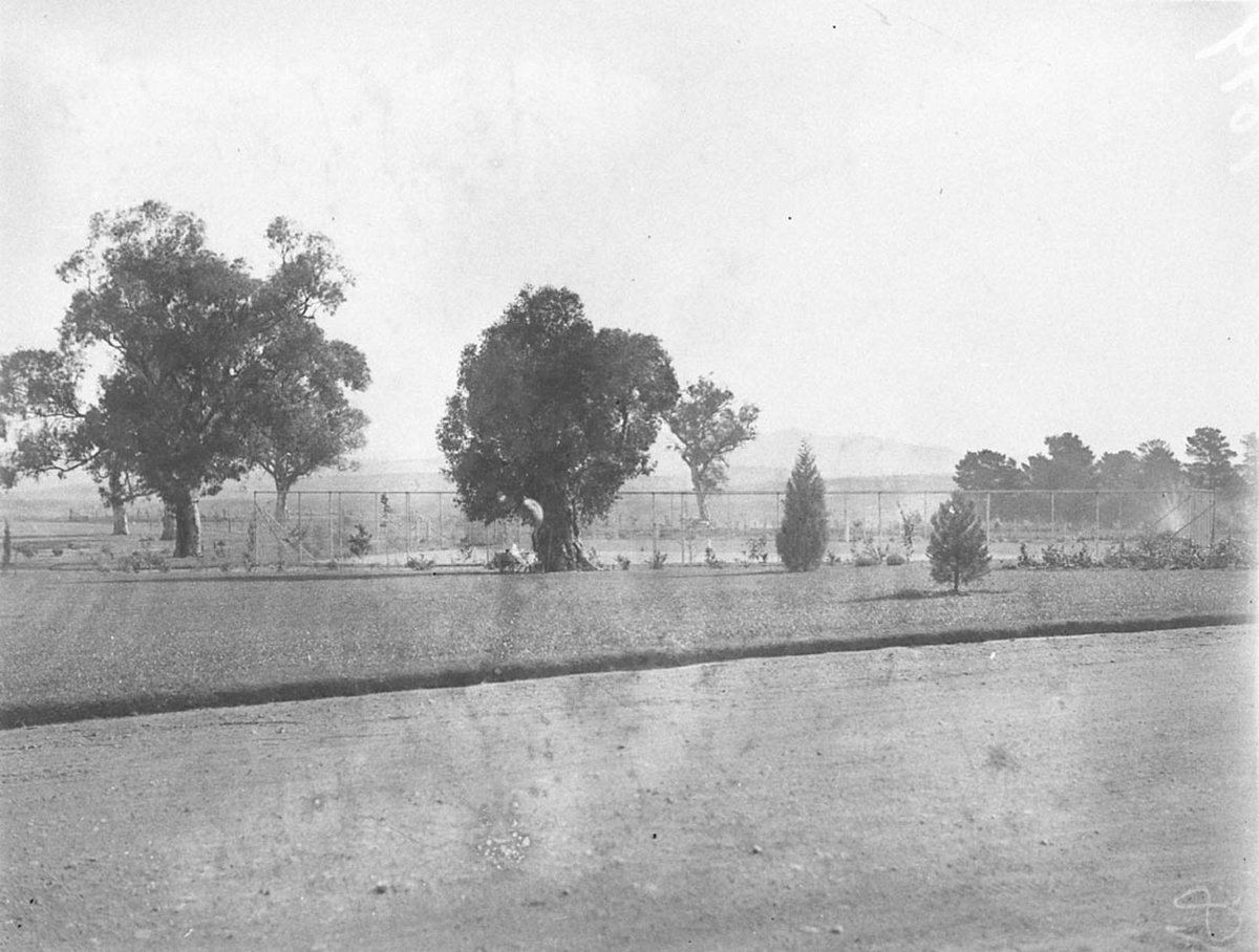 Countryside (1925–57)