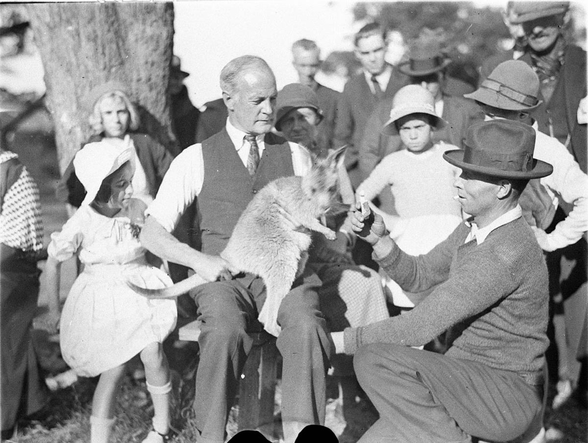 Curator shows baby roo to children (c. 1934)