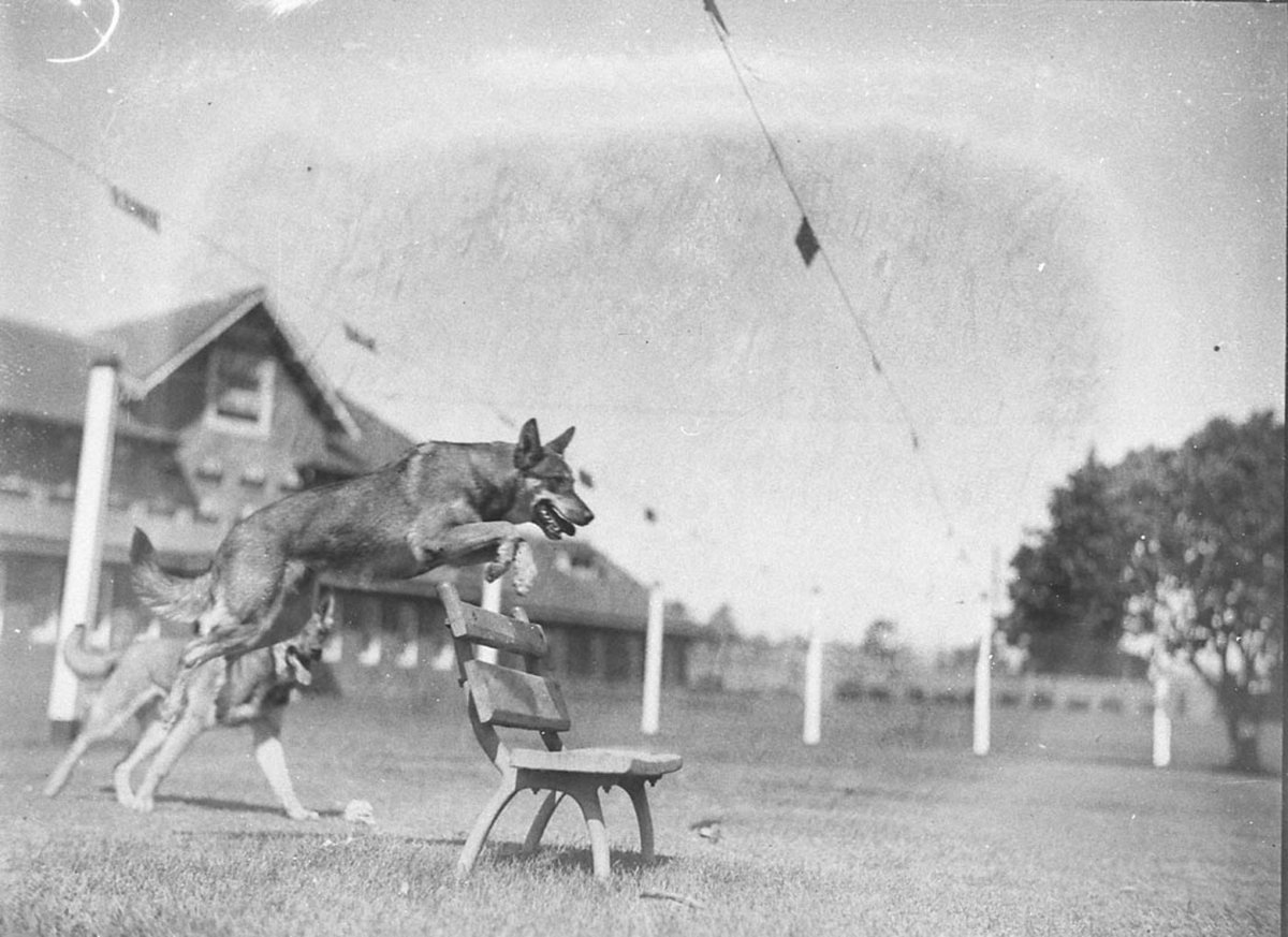 Demonstrating tricks (c. 1934)