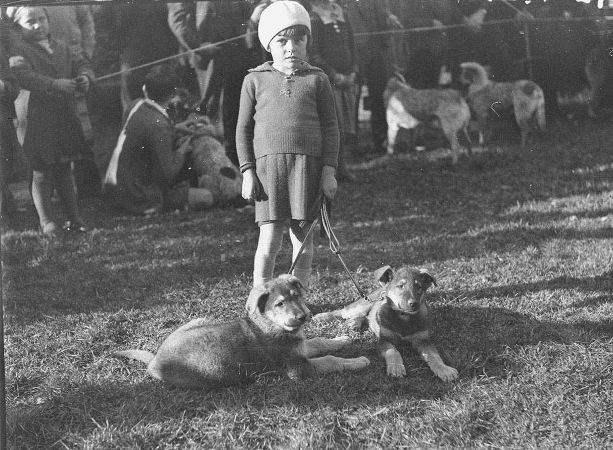Dog show at Marrickville Little girl with two puppies (1934)