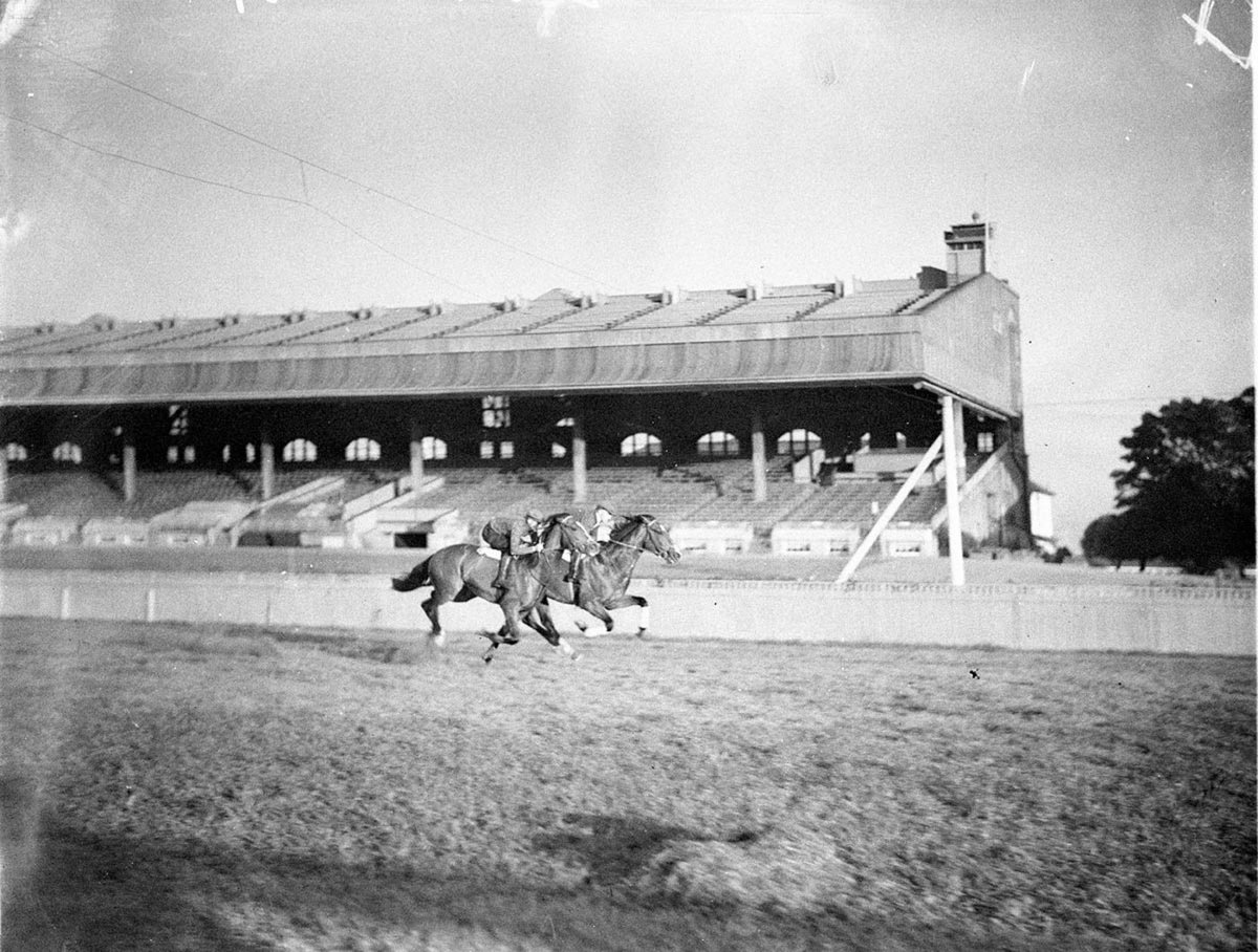 Early morning gallops training at Randwick Racecourse (c. 1934)