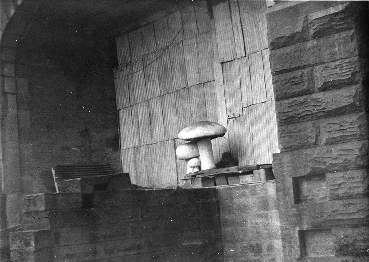 Experimental mushrooms grown by Mr Maas in city railway tunnel (1934)