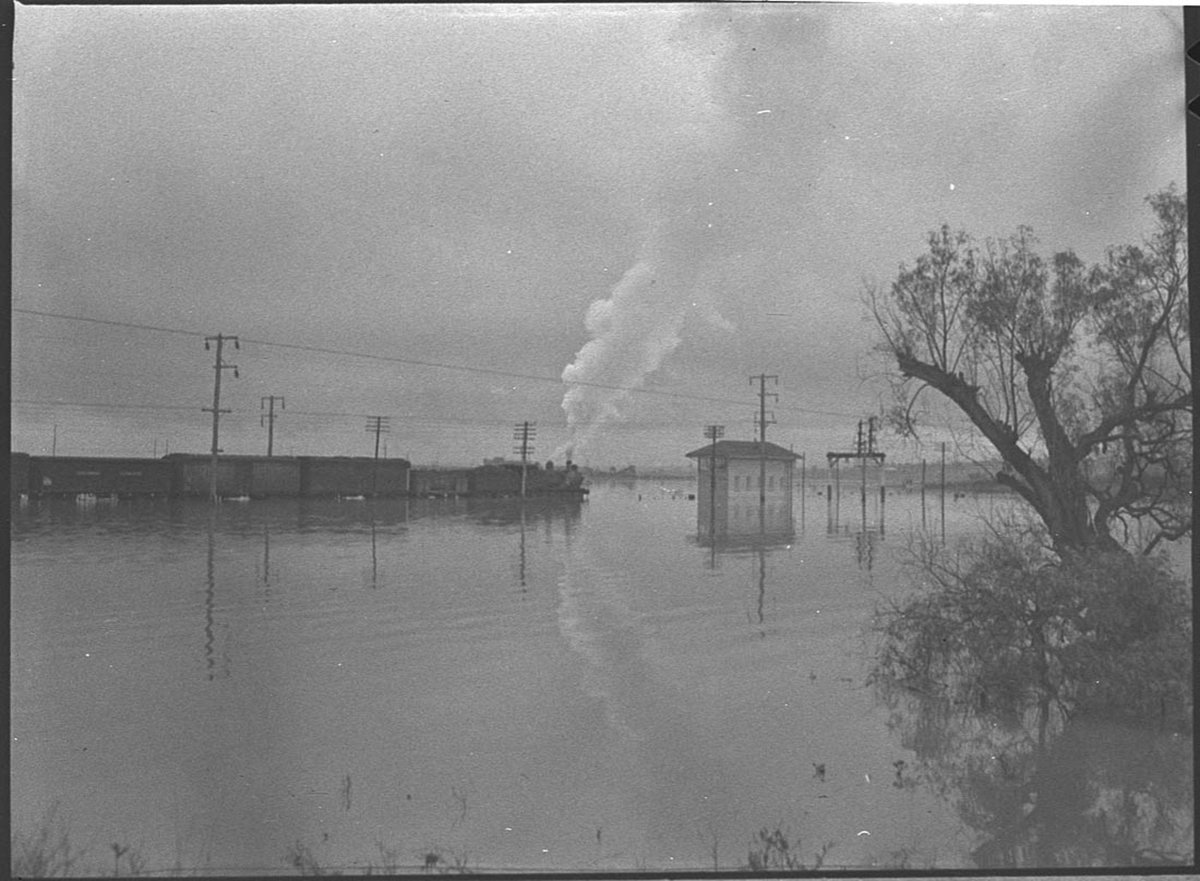 First goods train gets through submerged portion (1952)
