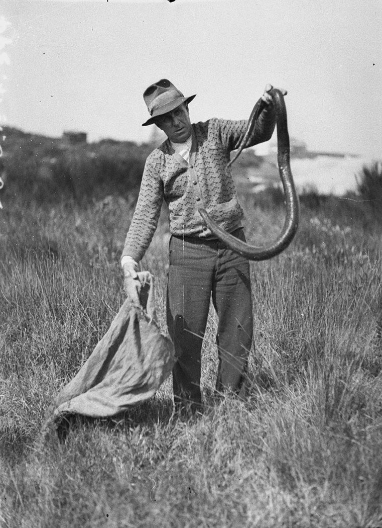George Cann with a large snake (1934)