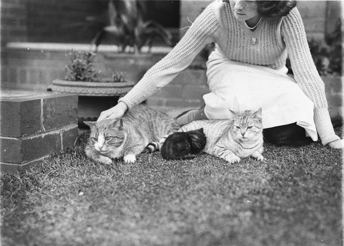 Girl with two cats and a kitten (c. 1929)