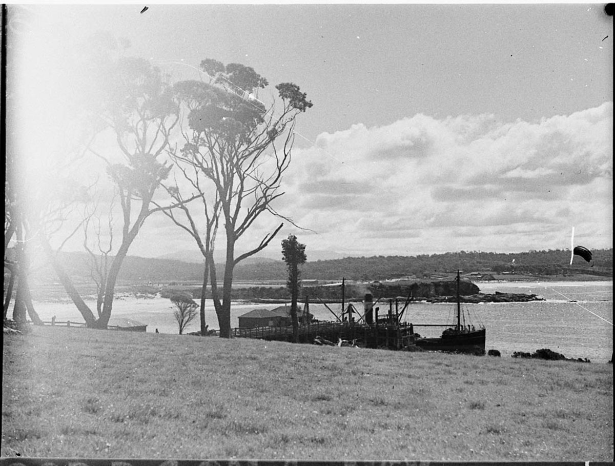Harry Lauder at Bermagui (1937)