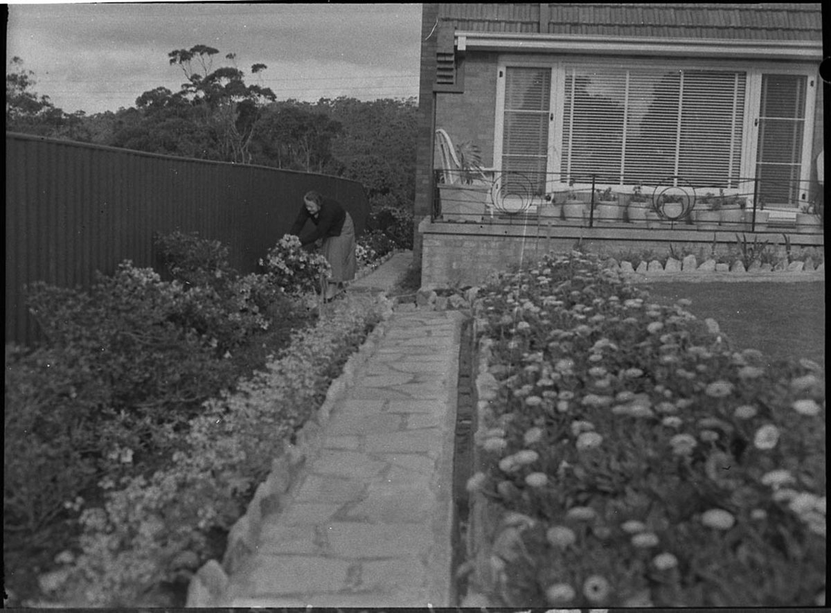 Home Garden winners (1955)