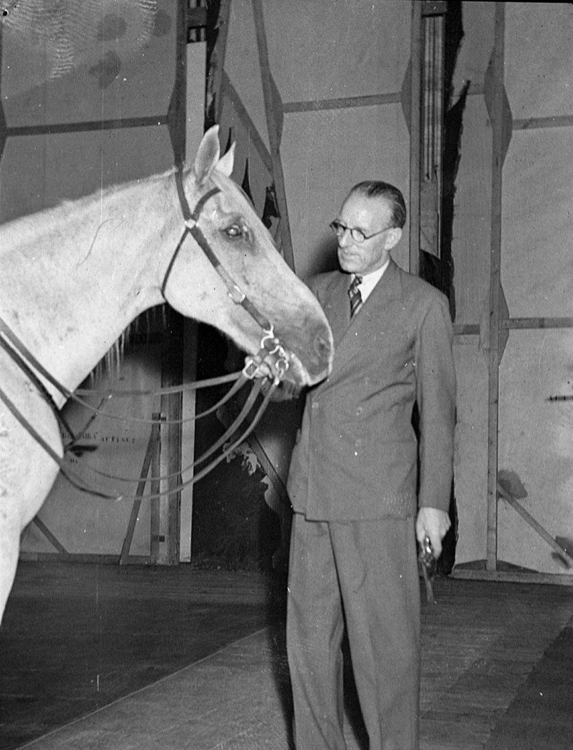 Horse on Balalaika stage (1938)
