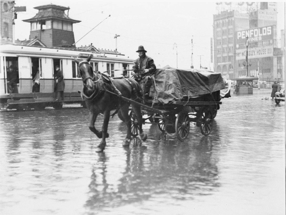 Horse pulling a dray shows its dislike of the weather (c. 1932)