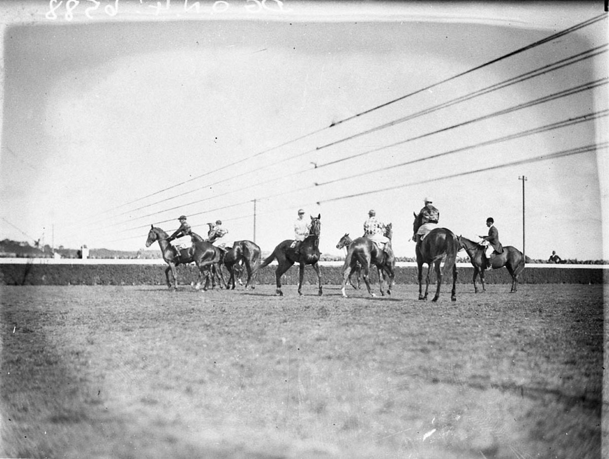 Horses waiting in the ring (1930s)
