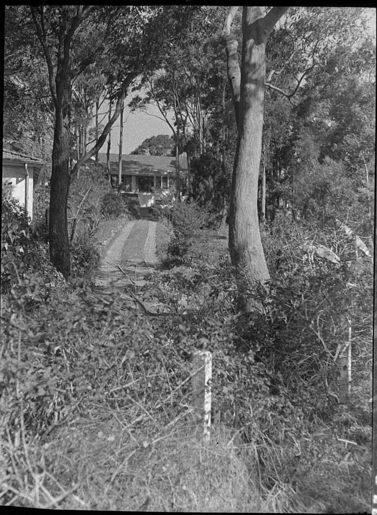Housing Adamstown Heights (1955)