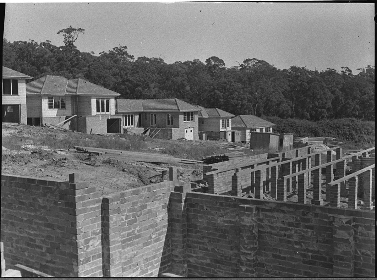 Housing Adamstown Heights, by Sam Hood (1955)