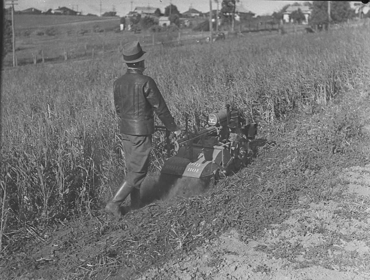 Howard Auto Cultivators rotary hoes Northmead, 1946