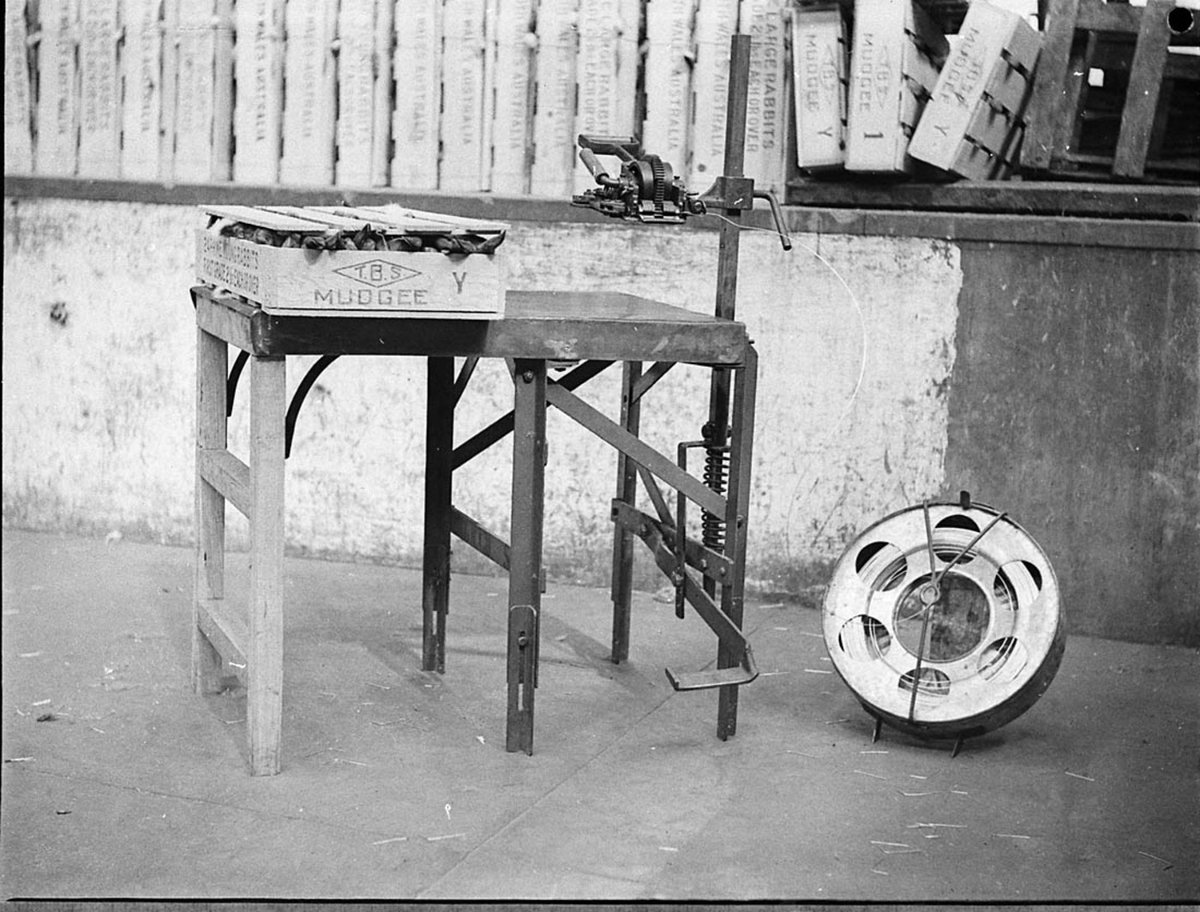In a rabbit factory (c. 1935)
