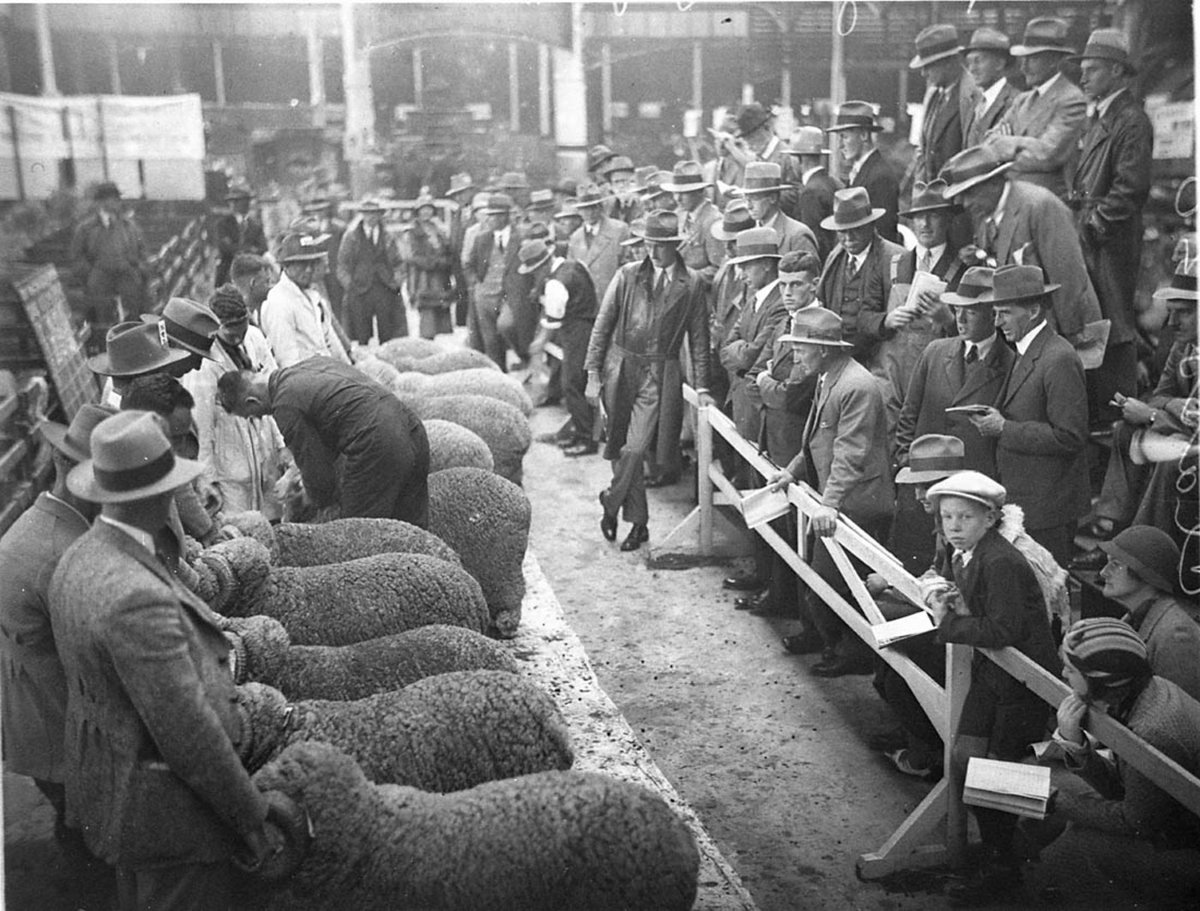 Lined up for the judges (1930s)