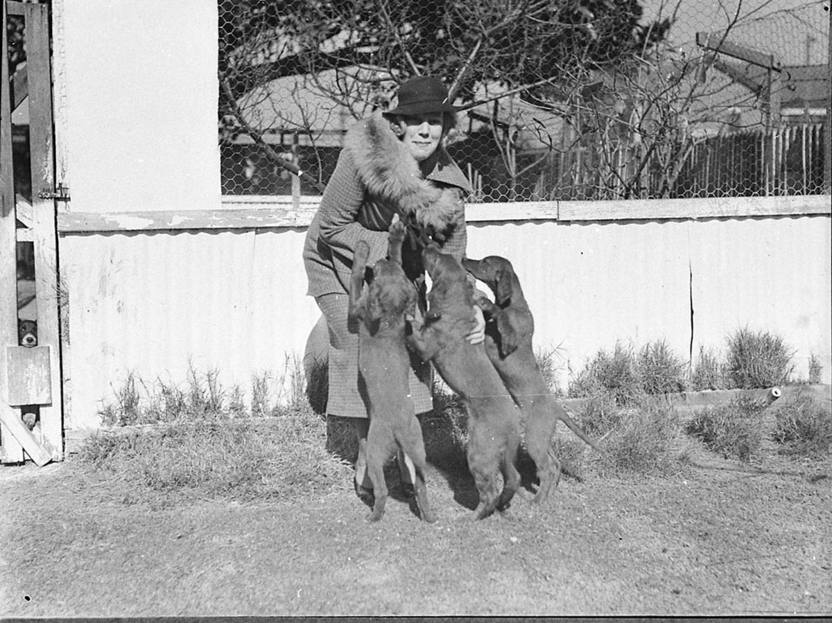 Mackie Hobbs dogs home (1936)