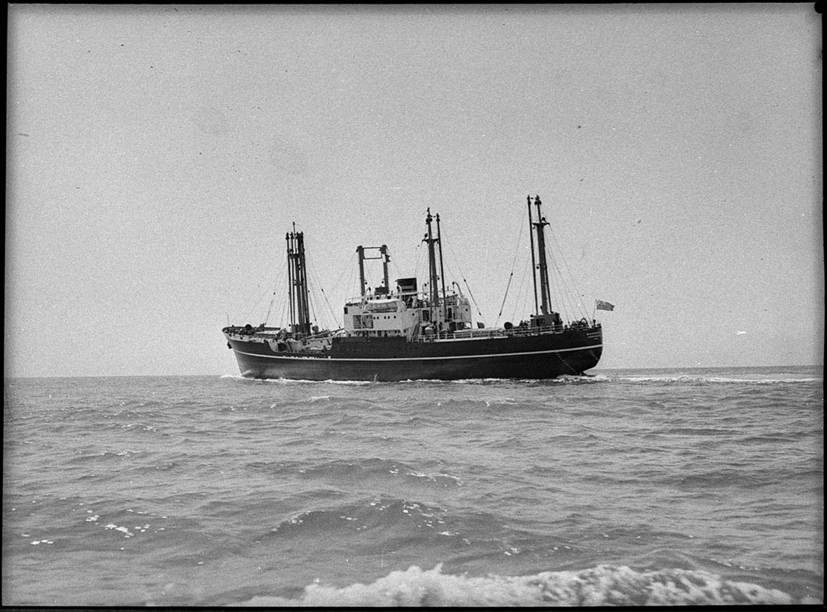 Motorship Wangara trials (1953)