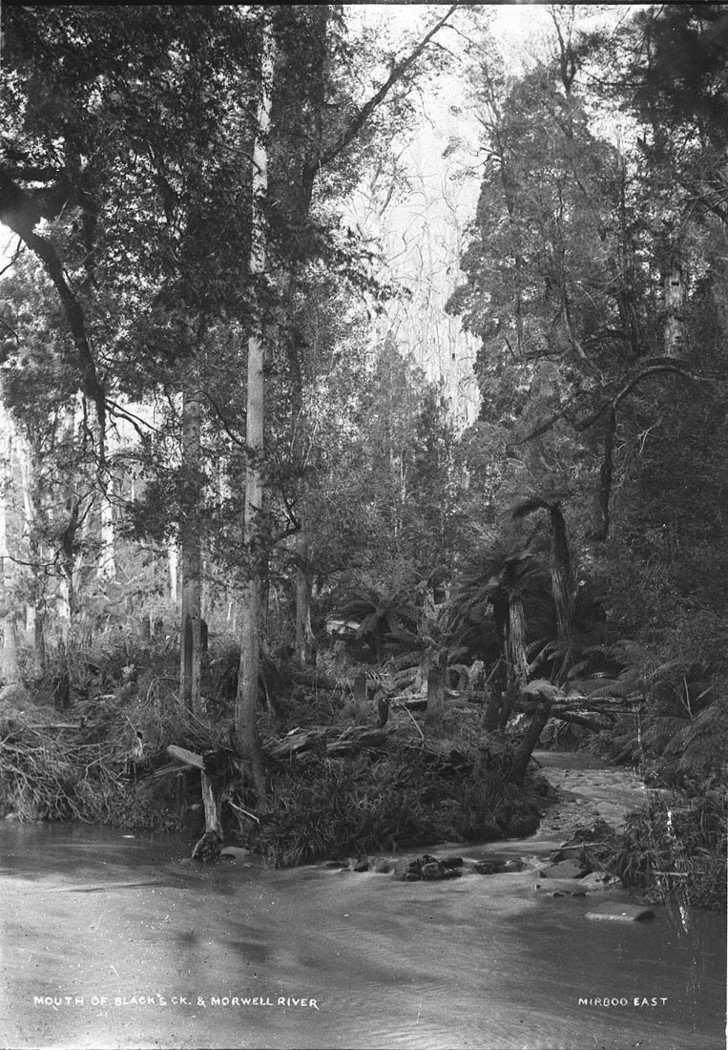 Mouth of Blacks Creek and Morewell River Mirboo East (1930s)