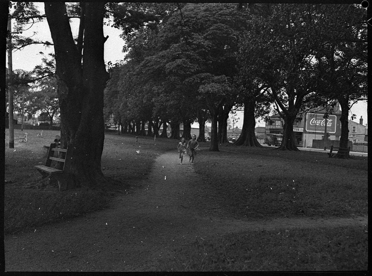 Park with trees freelance photo (1953)