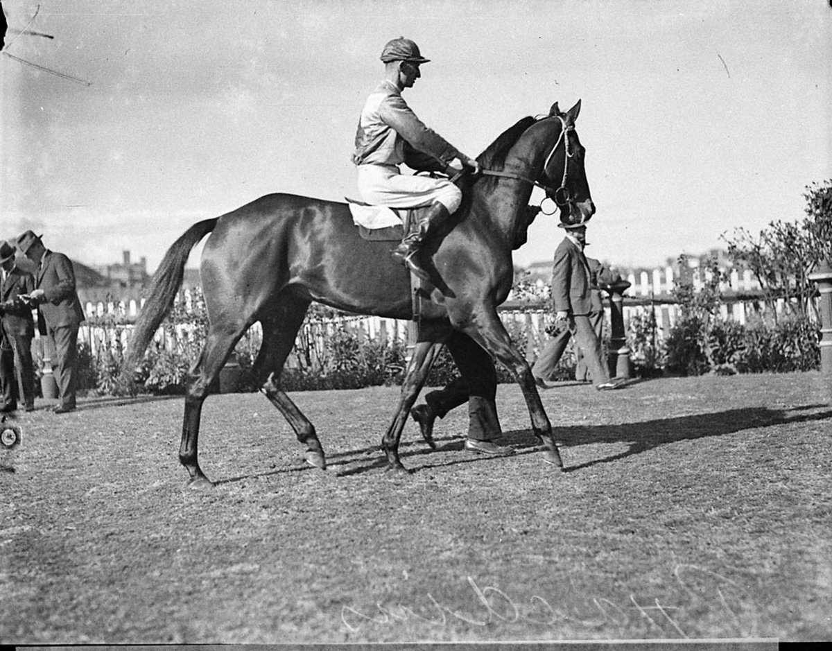 Phaedius (1935)