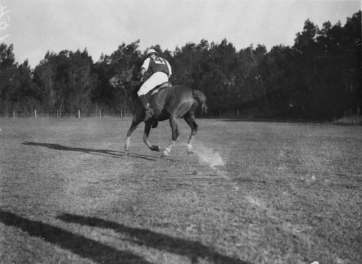 Polo at Cobbitty (1930s)