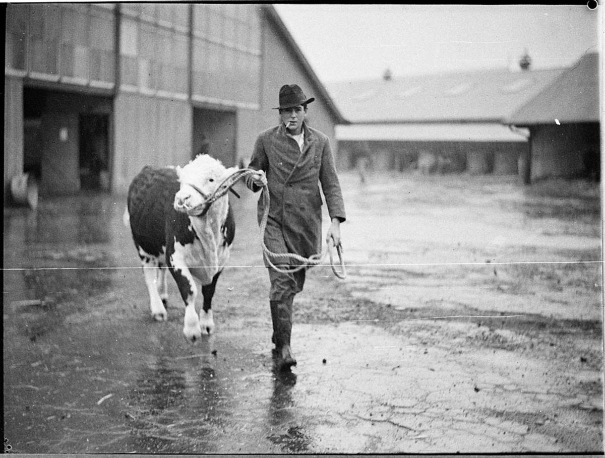 Preparations for Show (1937)