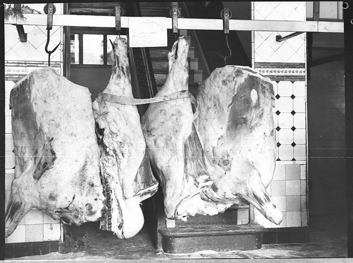 Prize beef at Silvesters (1937)
