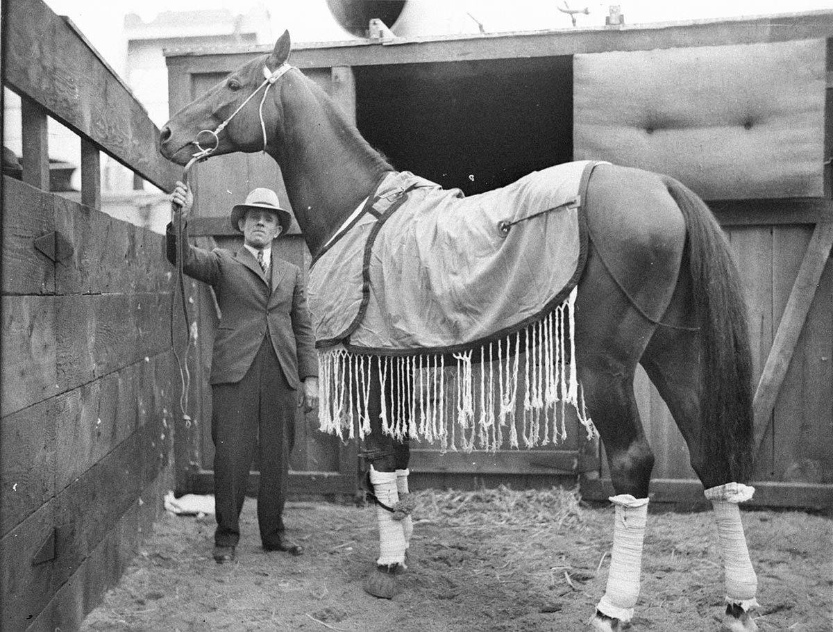 Racehorse Winooka (1930s)