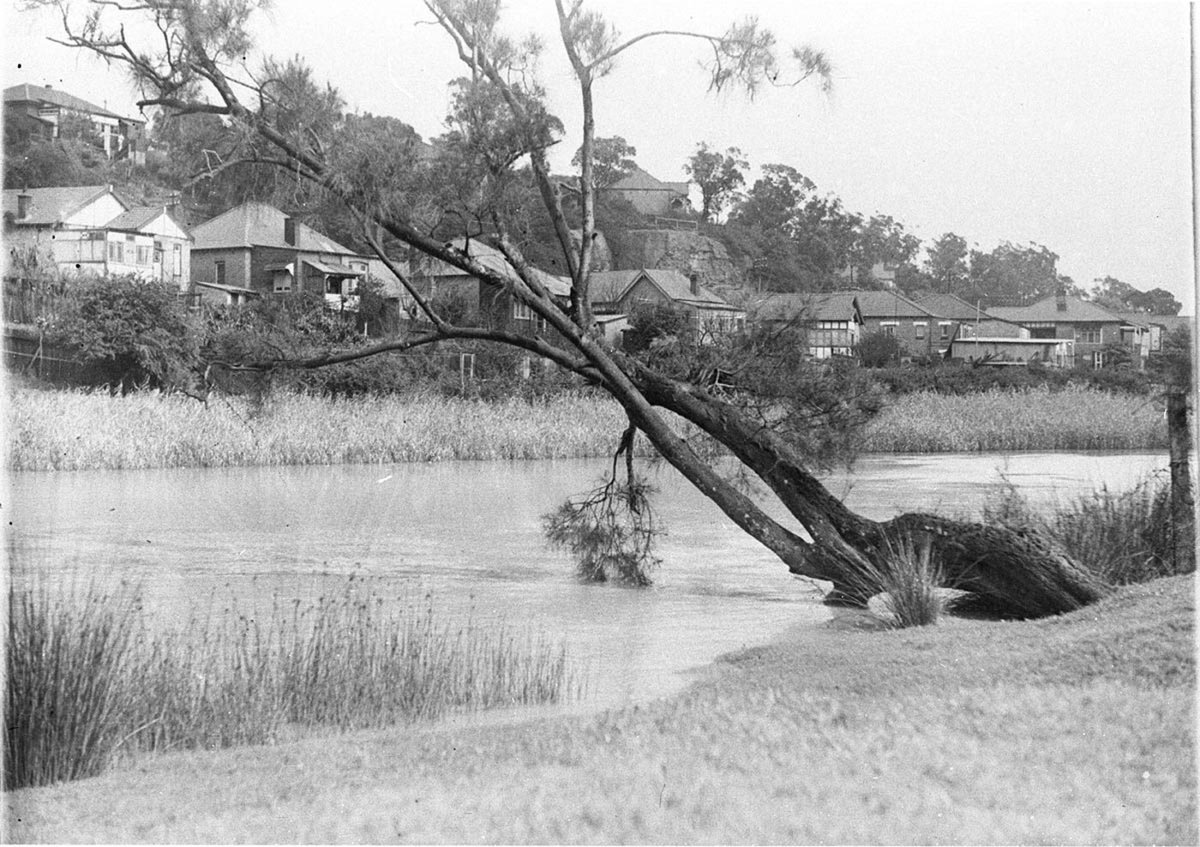 Riverside scene showing row of cottages and fallen tree (1934)