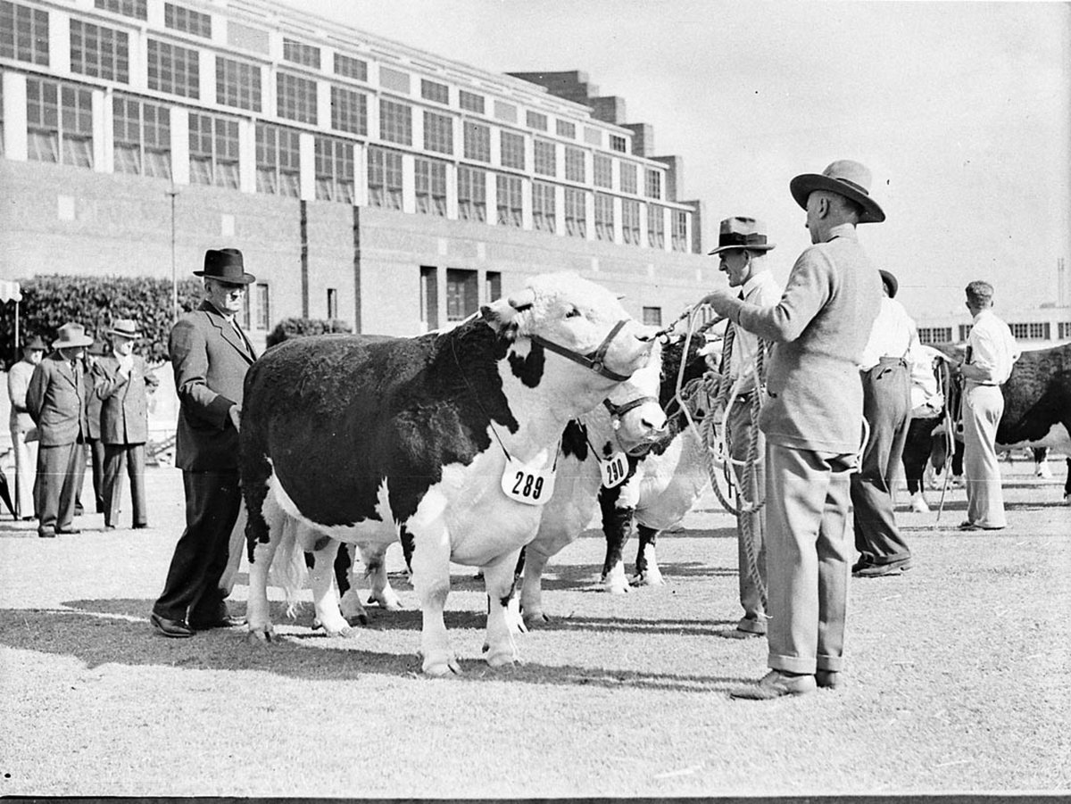 Royal Agricultural Show, 1938