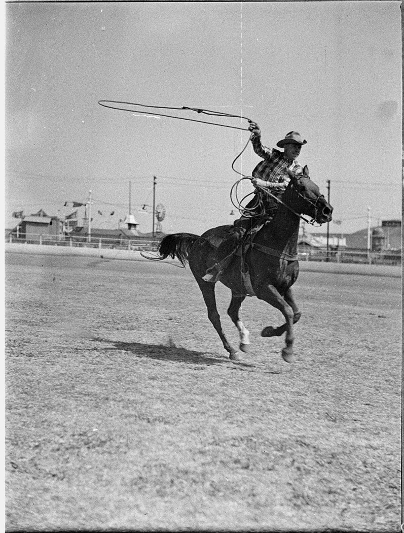 Royal Agricultural Show, Moore Park (1925–57)