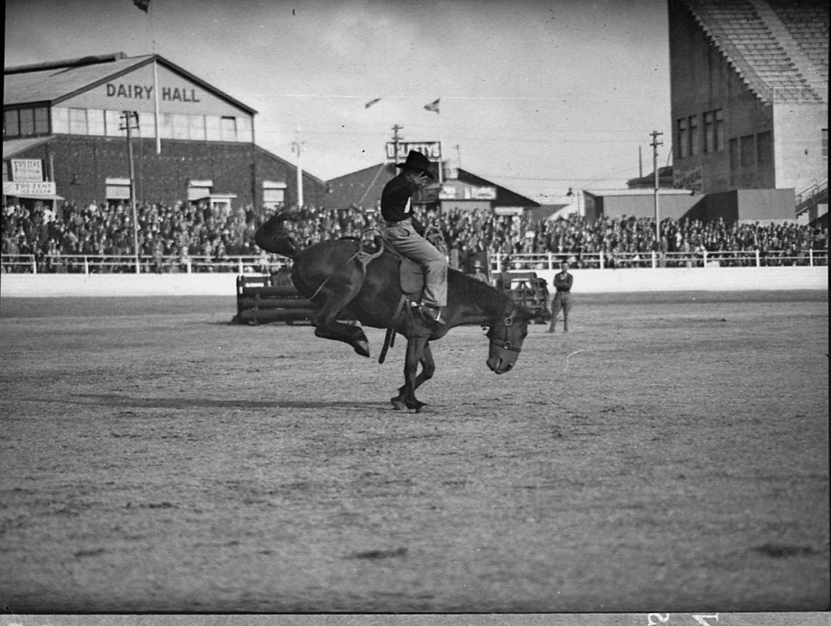 Royal Easter Show, Moore Park (1938)