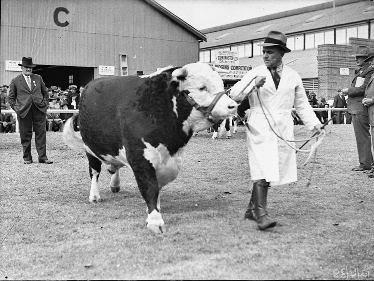Royal Easter Show, Moore Park (1938)