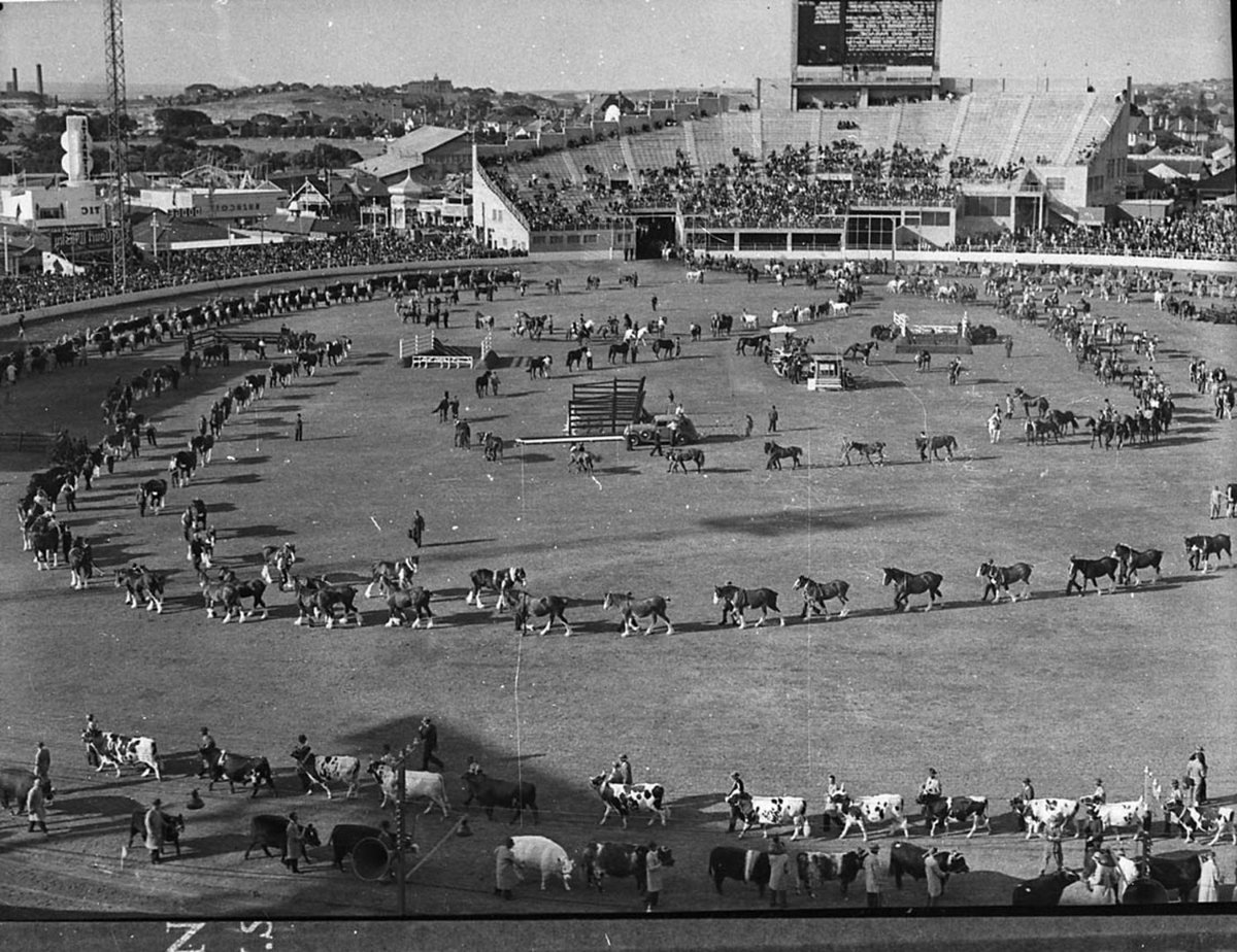 Royal Easter Show, Moore Park (1938)