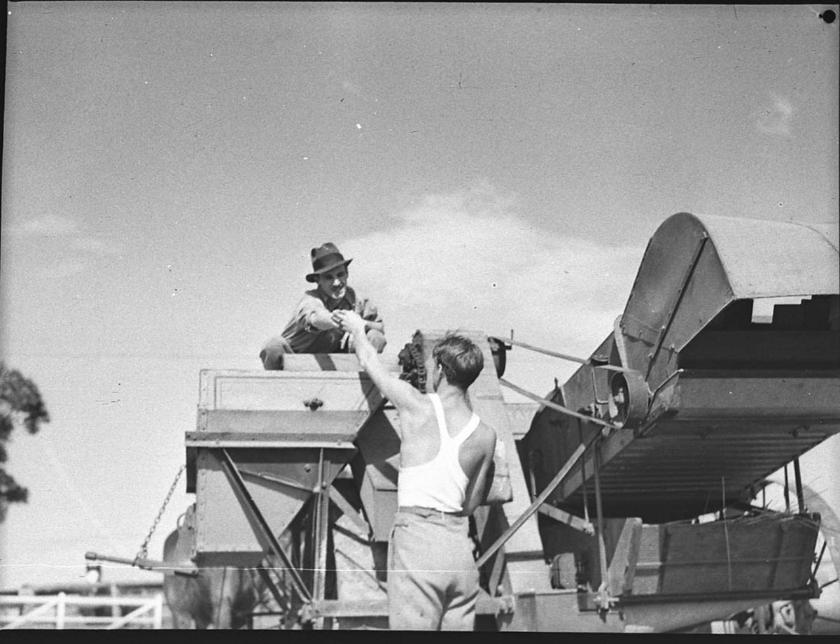 Rural scene taken for Rural Bank (1925–57)