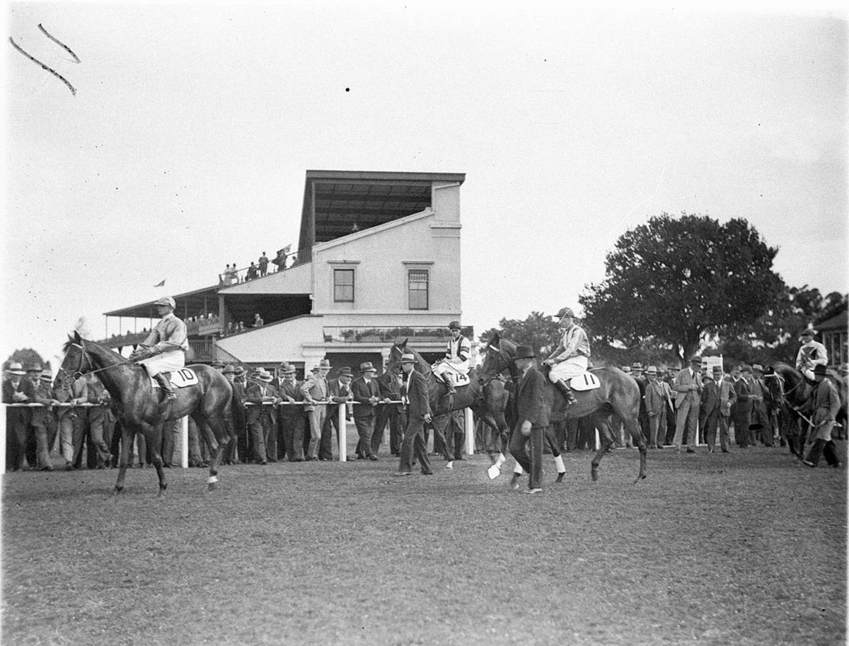 Saddledup horses parading in the ring before going out for the start (1934)