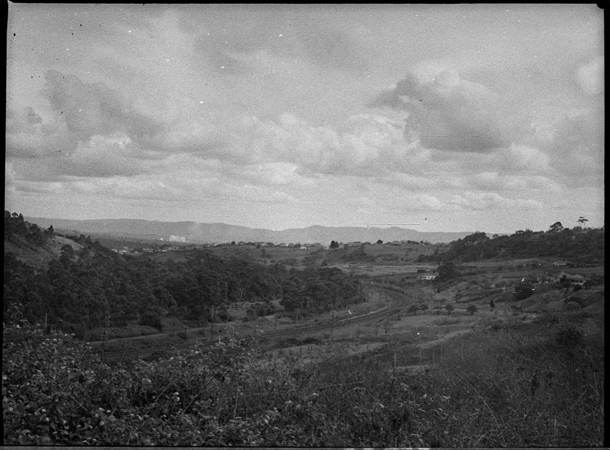 Scenic view (1954)