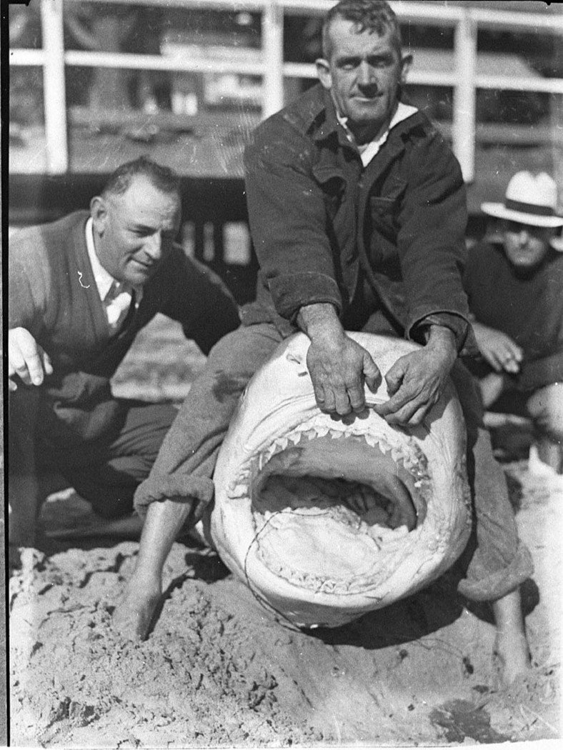 Shark at Watsons Bay (1935)