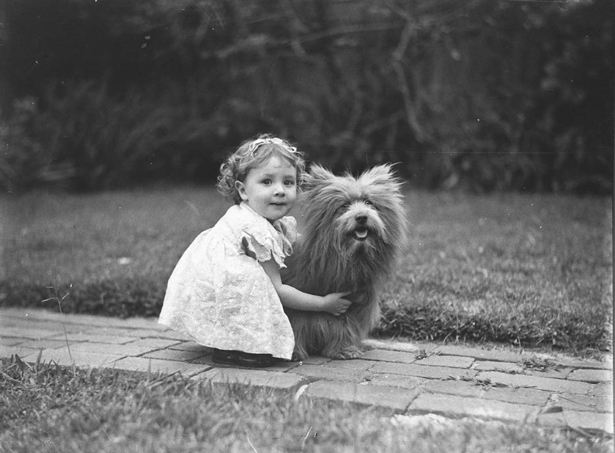 Study of a small girl with a prize Scottish terrier dog (c. 1935)