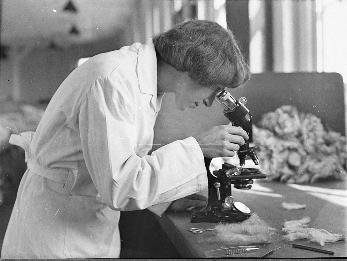 Technical College East Sydney (1949)
