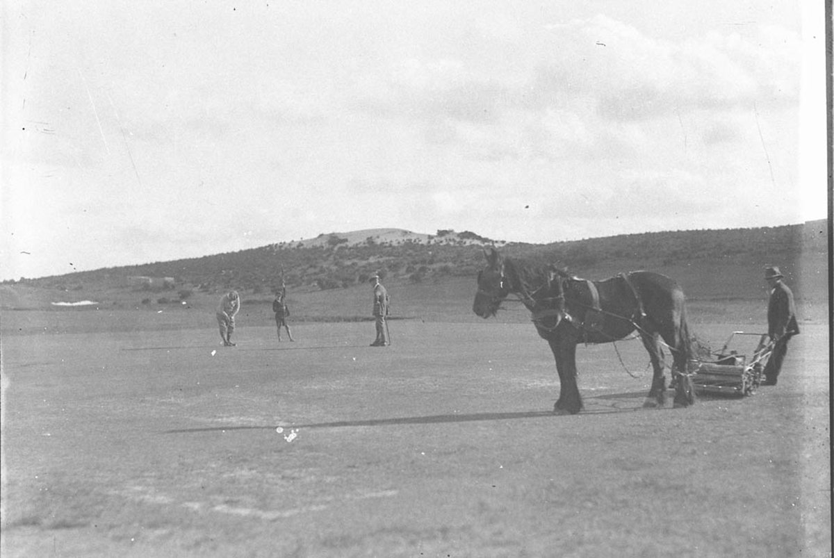 The horsedrawn mower makes a vignette of a player putting (1930s)